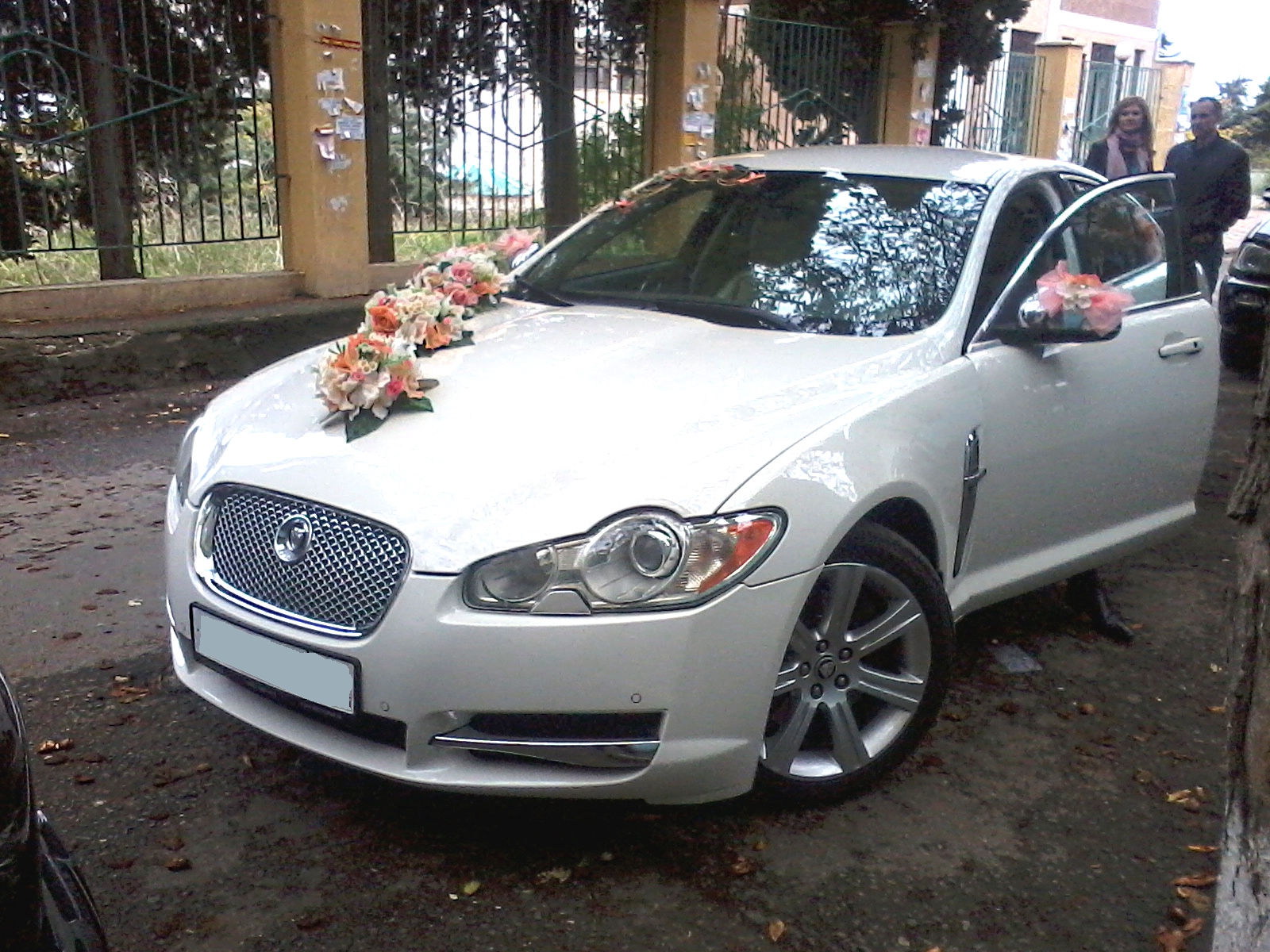 Свадебная машина белый Ягуар - Jaguar XF - авто на свадьбу 
